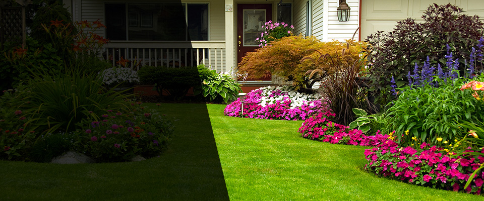 Southampton Landscapers